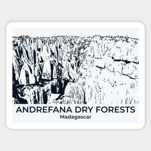 Andrefana Dry Forests - Madagascar Magnet